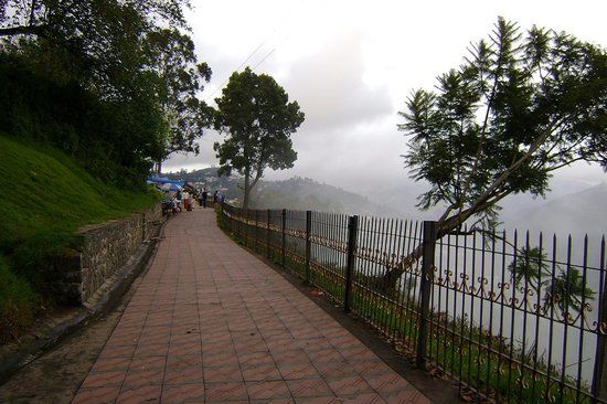 Coaker's Walk